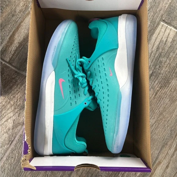Nike Zoom Nyjah 3 SB Dusty Cactus Mens Shoe no lid - Picture 7 of 10